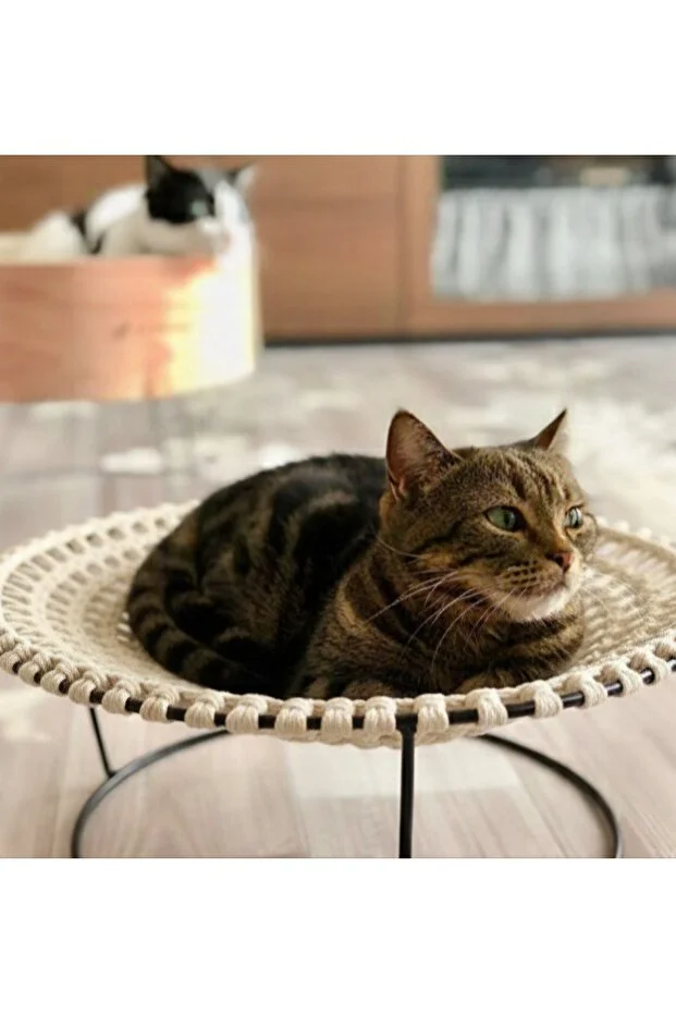 Kedi yuvası yatağı